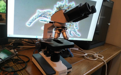 Microscope